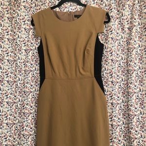 Fierce camel body con color block midi JCrew dress
